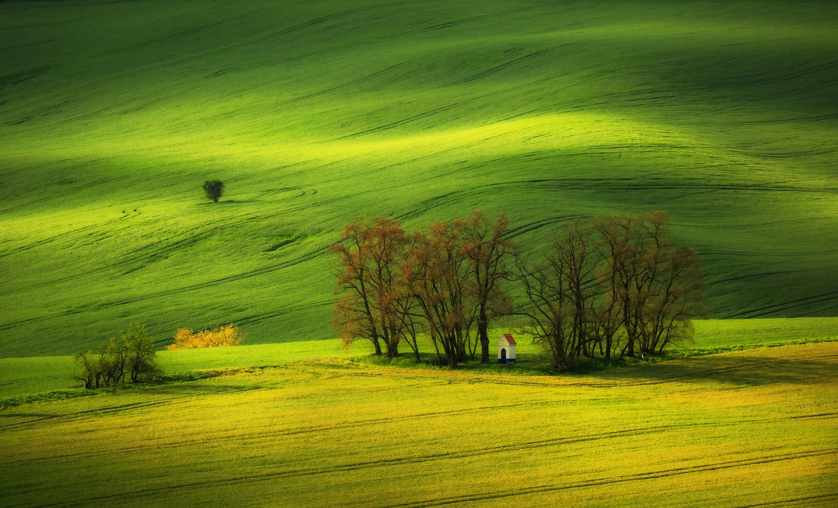 Moravian tuscany