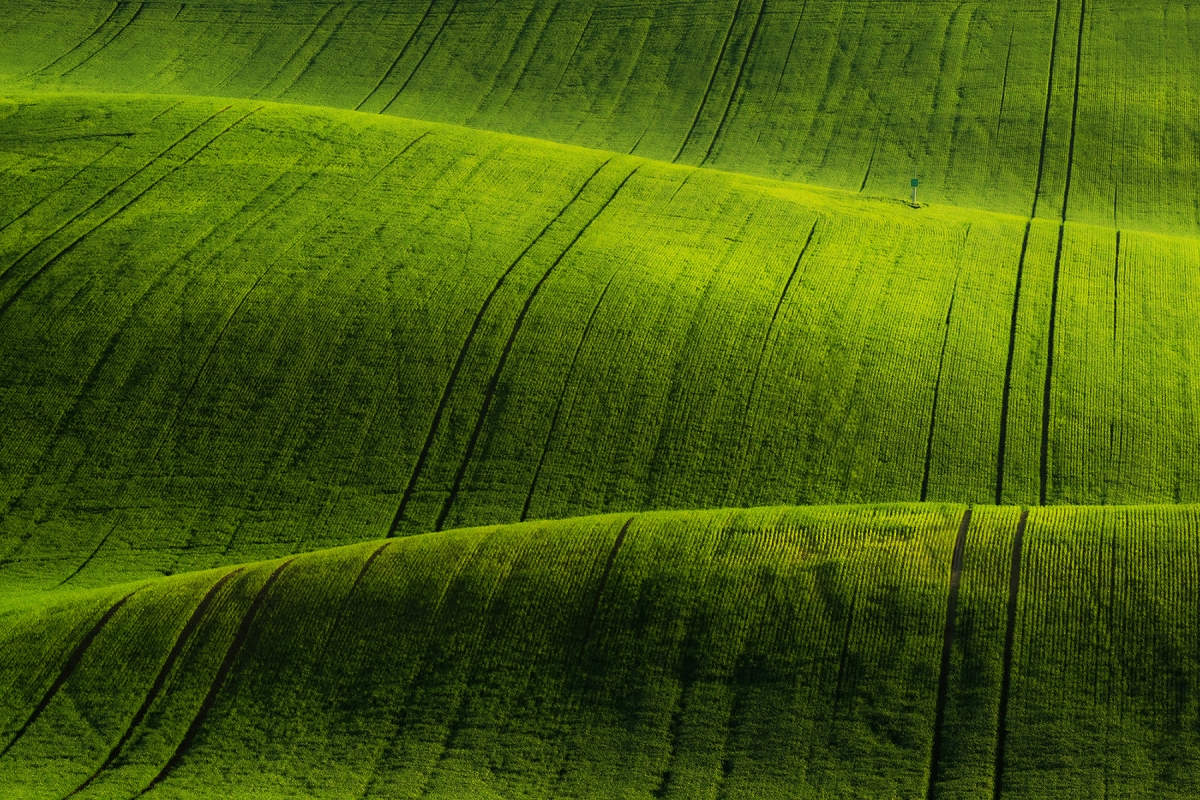 Moravian tuscany