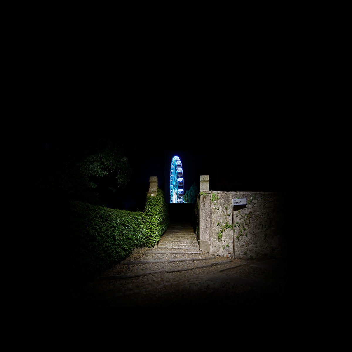 RUMMAGE IN THE DARK