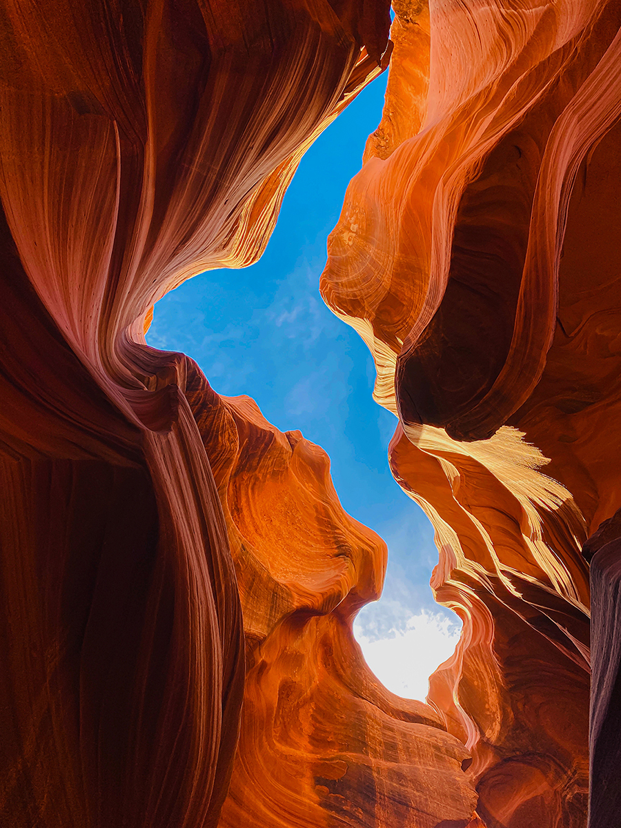 Hummingbird in Antelope Canyon
