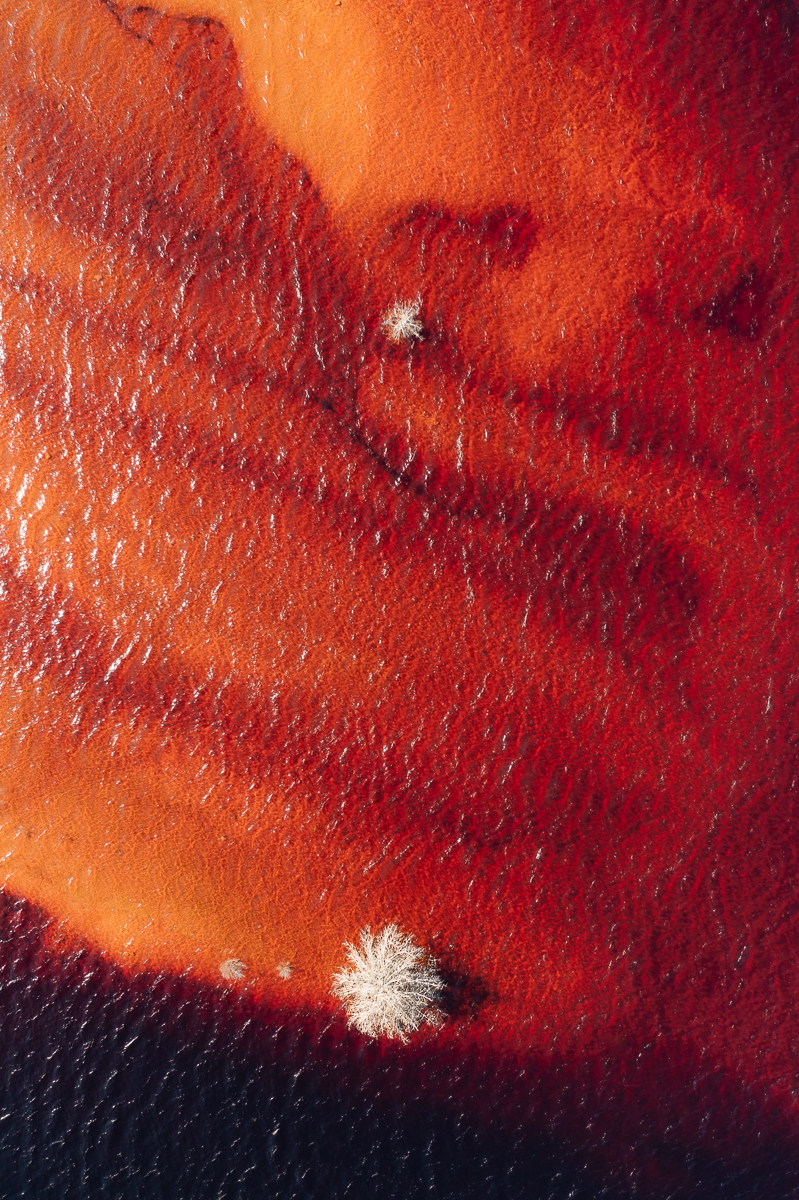 Red Planet