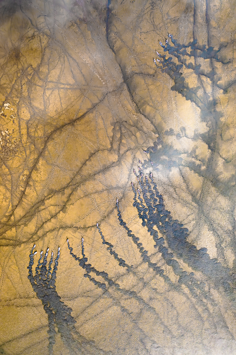 Flow Paths