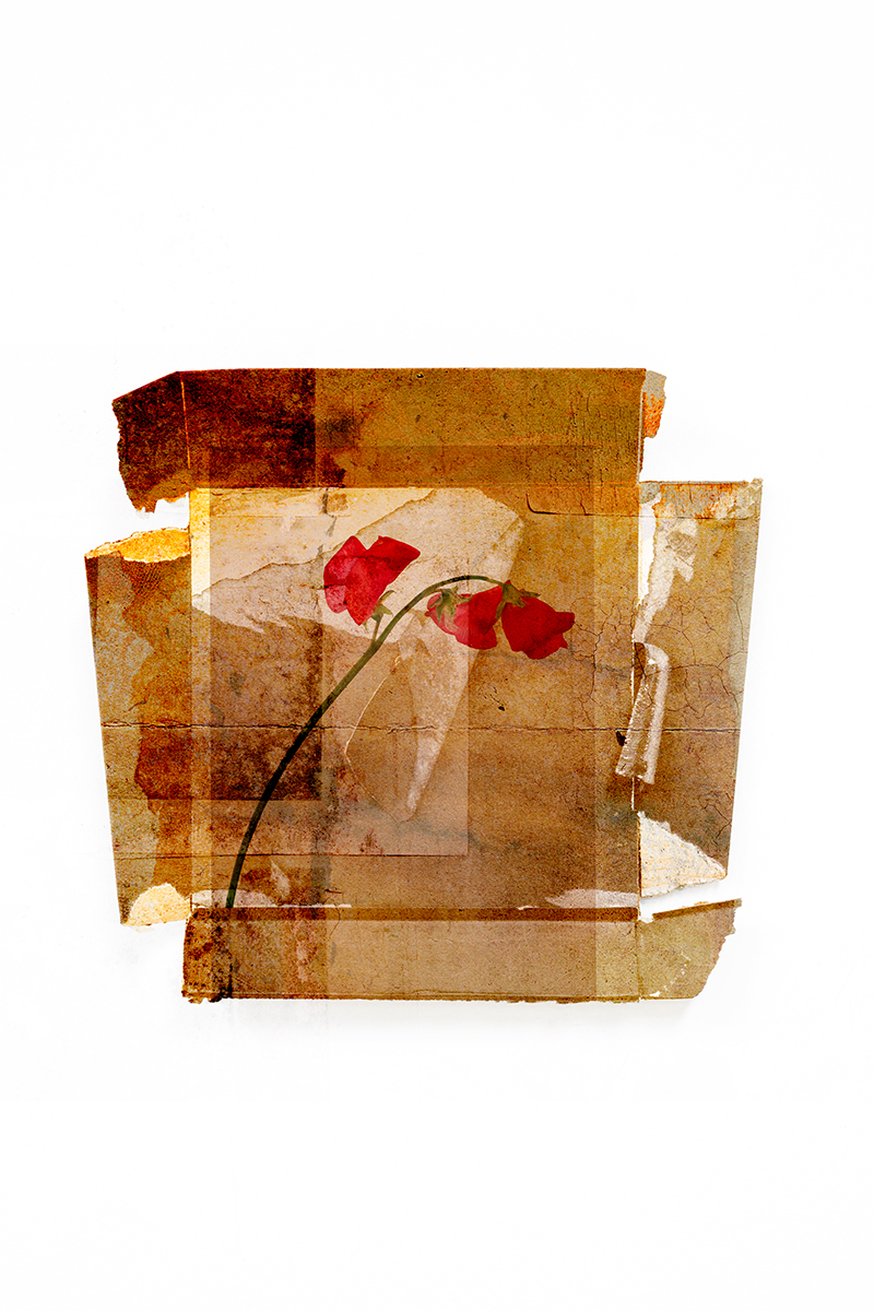 On Things That Do Not Disappear