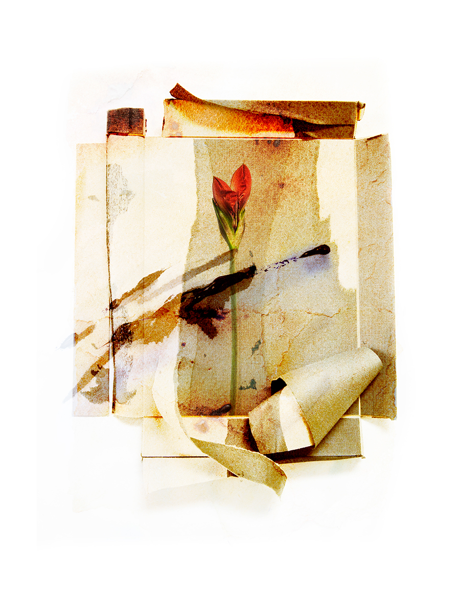 On Things That Do Not Disappear