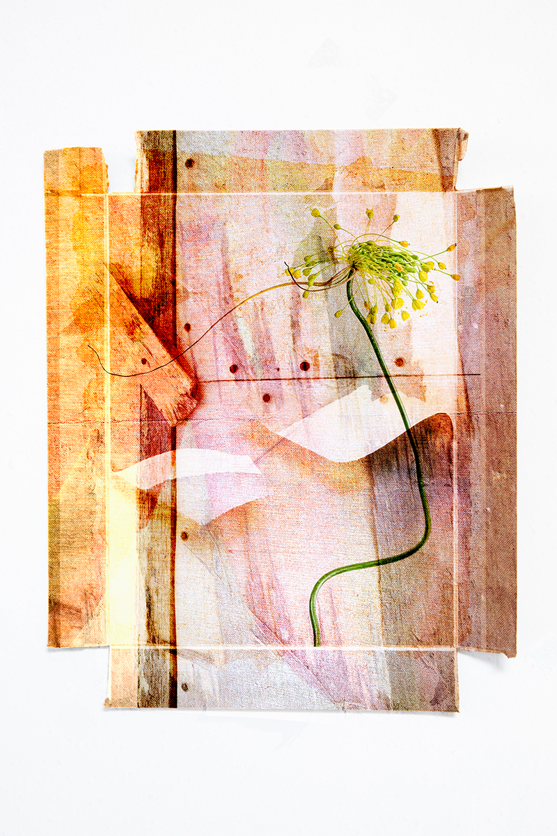 On Things That Do Not Disappear