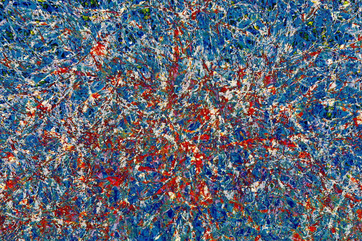 Fig Trees Color Burst 1