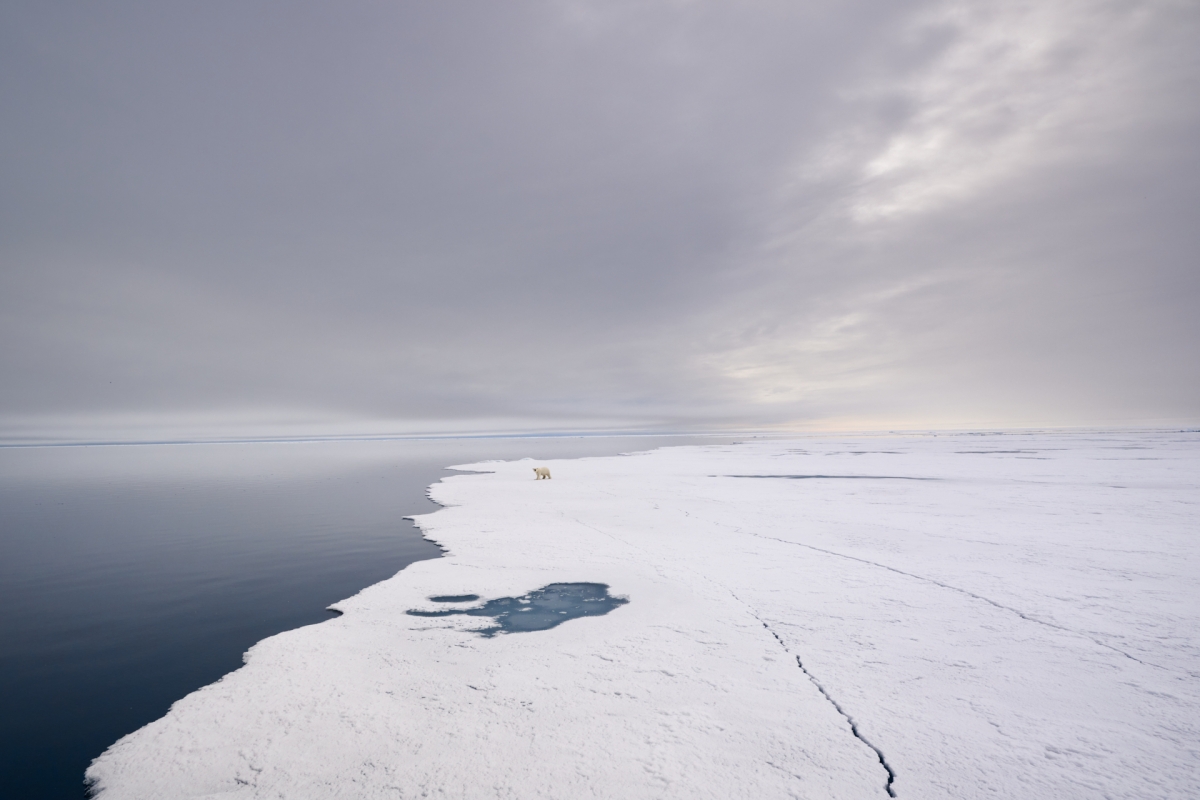 82° North