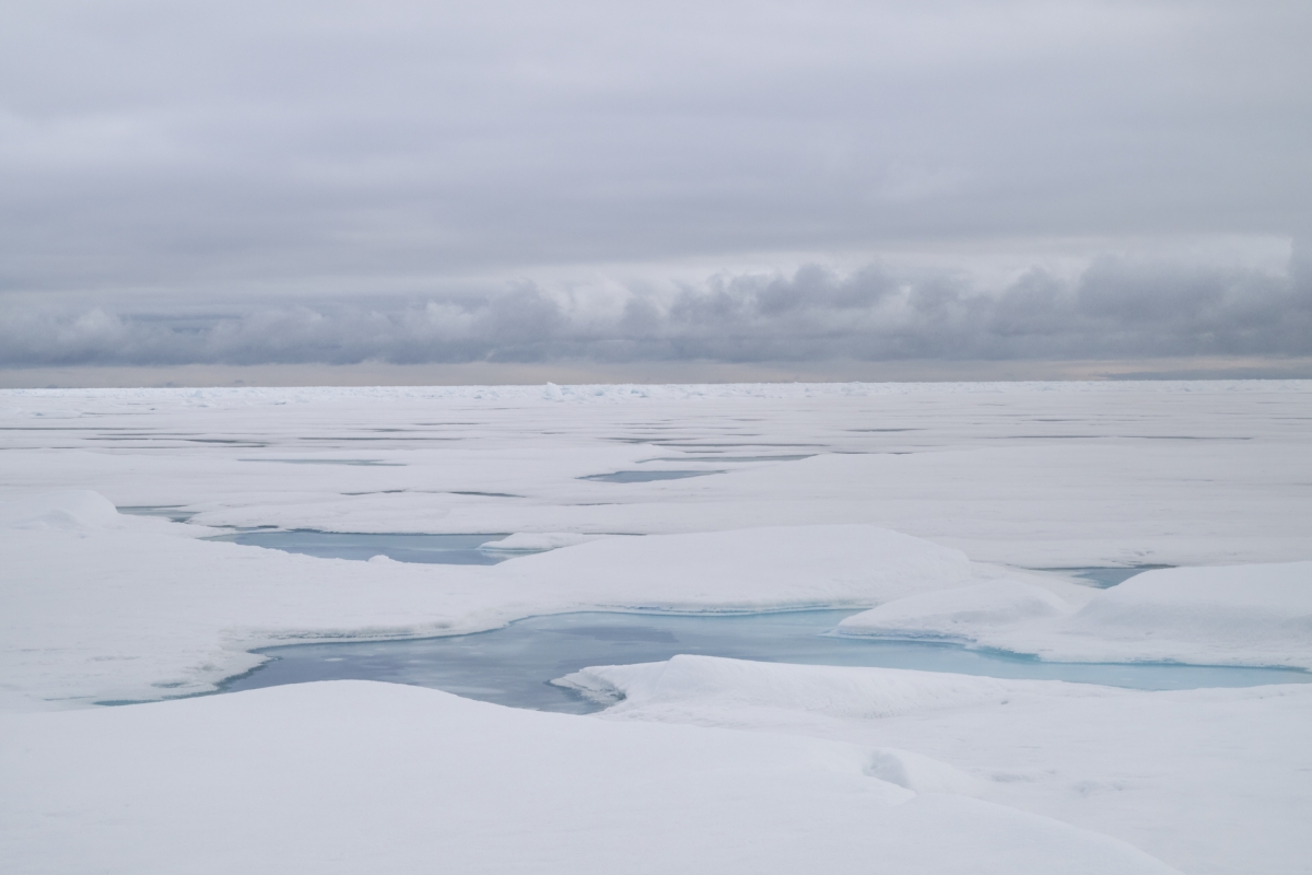 82° North
