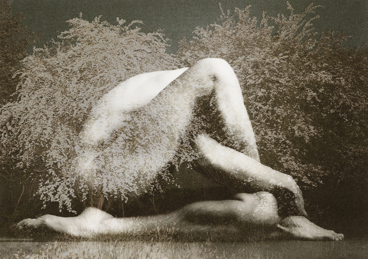 Metamorphoses