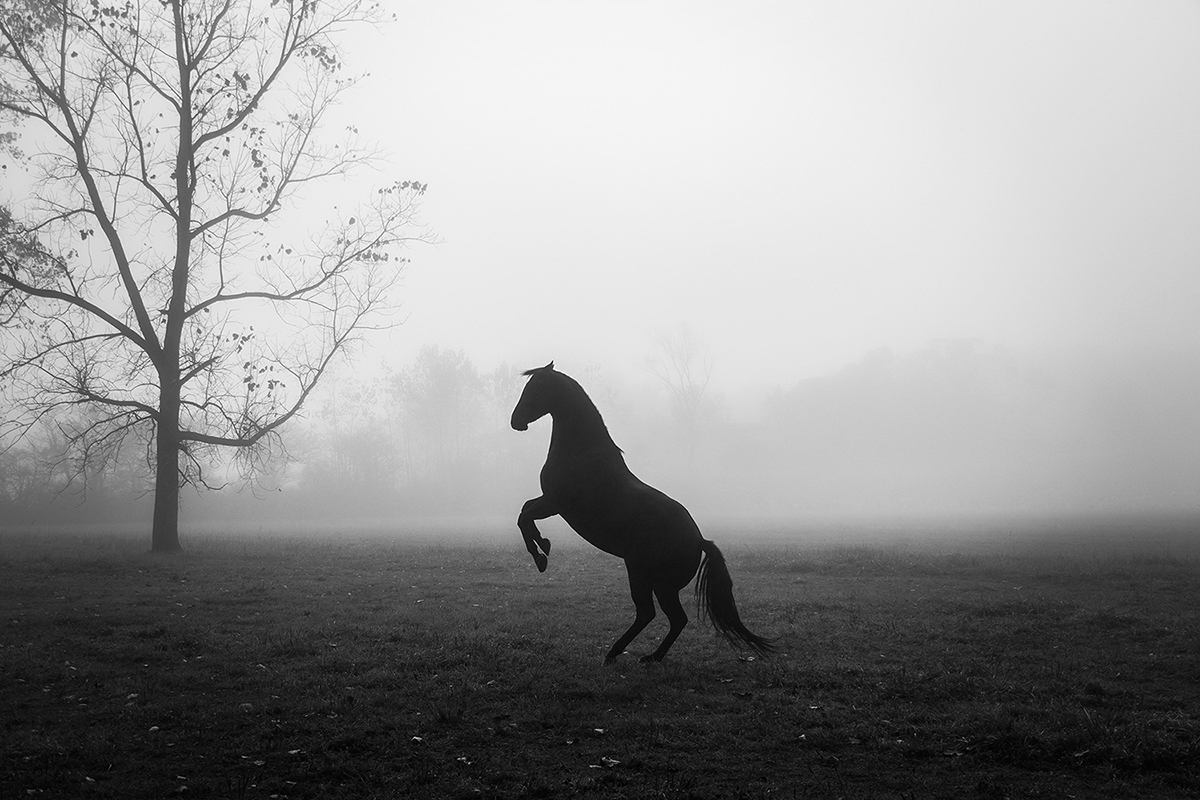 Sleepy Hollow