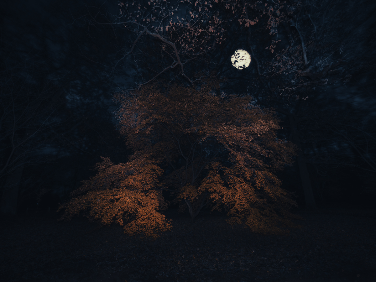 Nightwork: Weather, Memory, Light