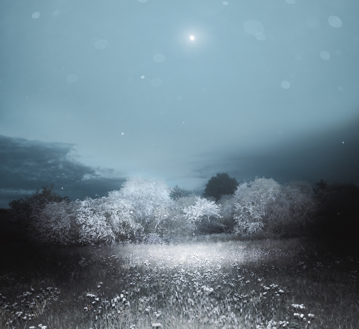 Nightwork: Weather, Memory, Light