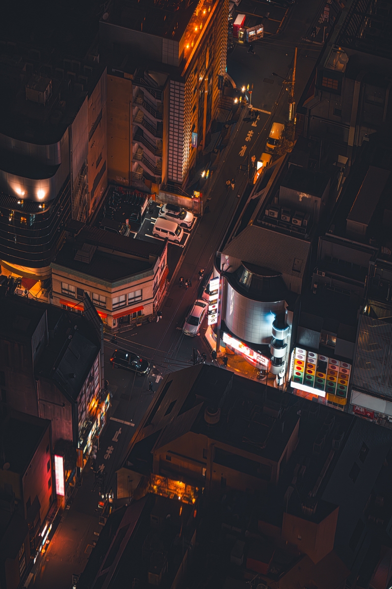 Shinjuku: From Above
