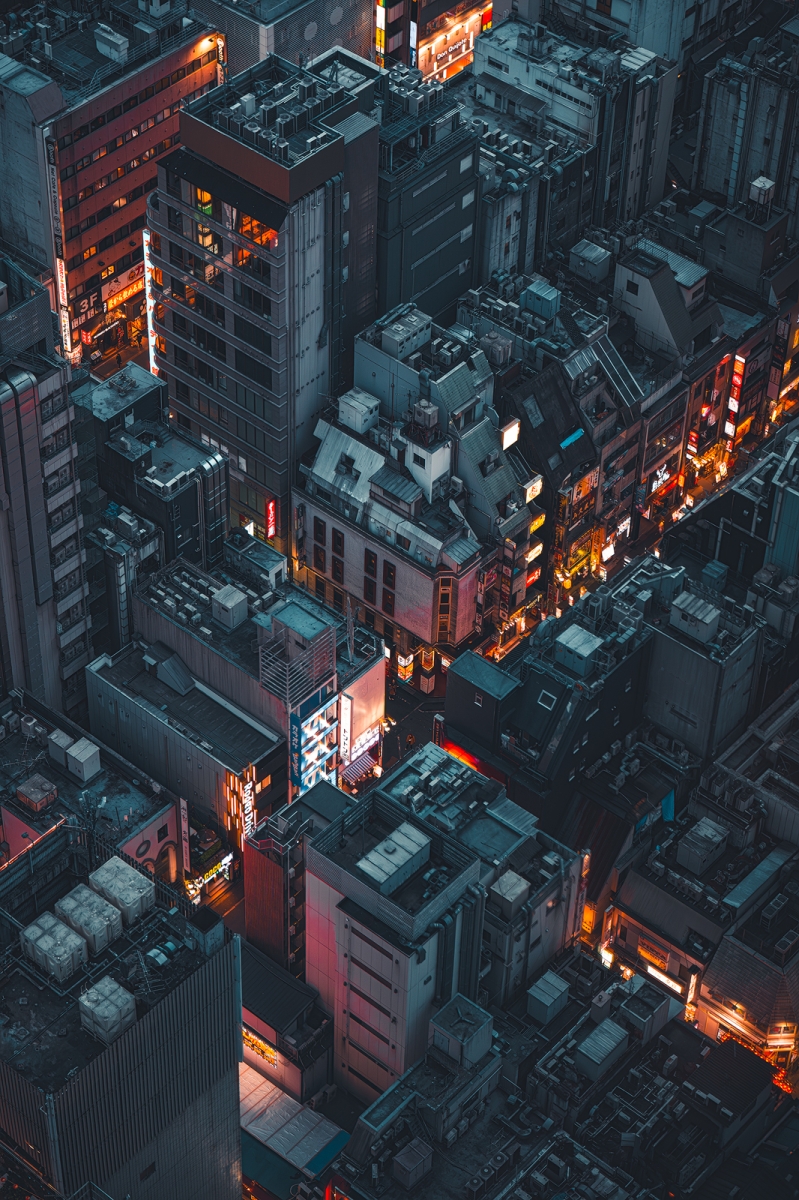 Shinjuku: From Above