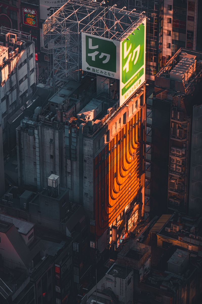 Shinjuku: From Above