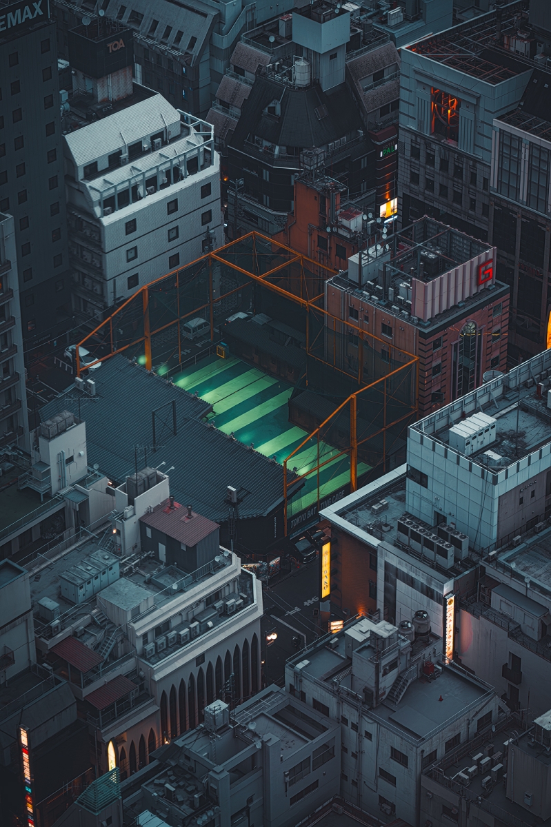 Shinjuku: From Above