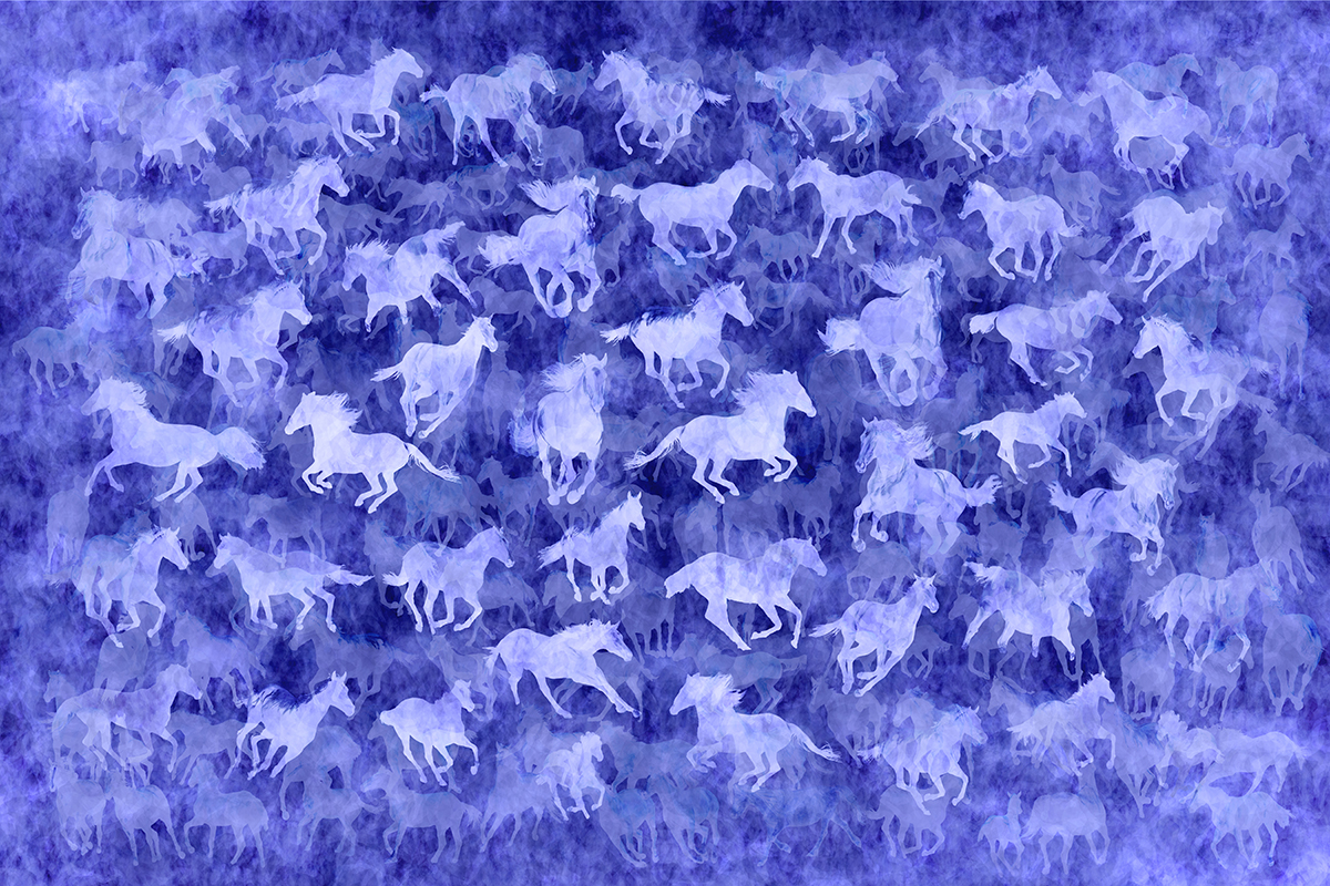 Heavenly Horses