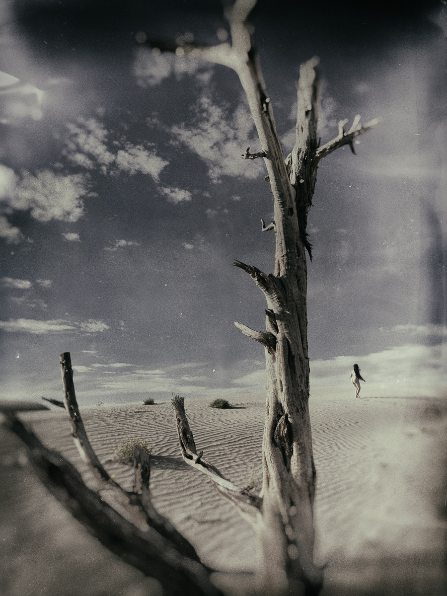 Mirage: Visions From A Desert