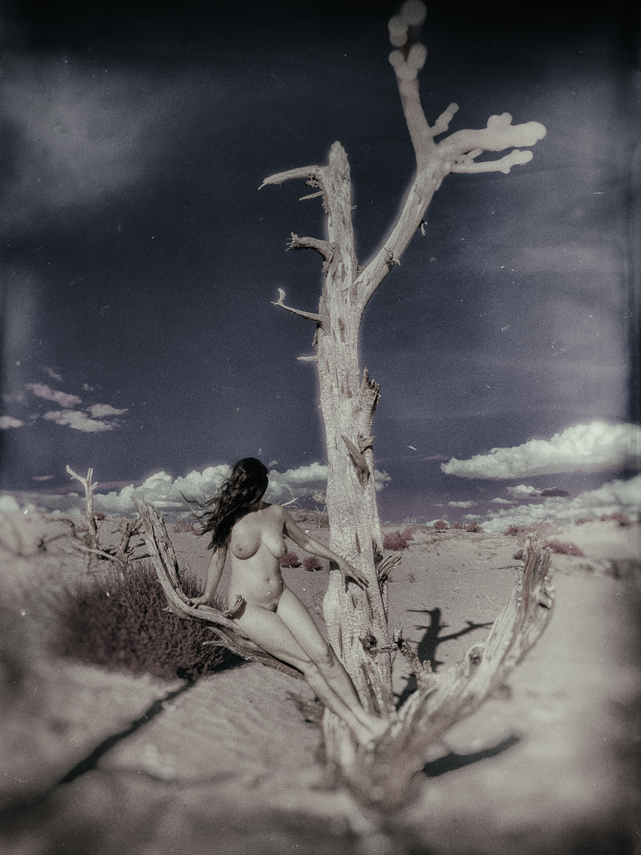 Mirage: Visions From A Desert