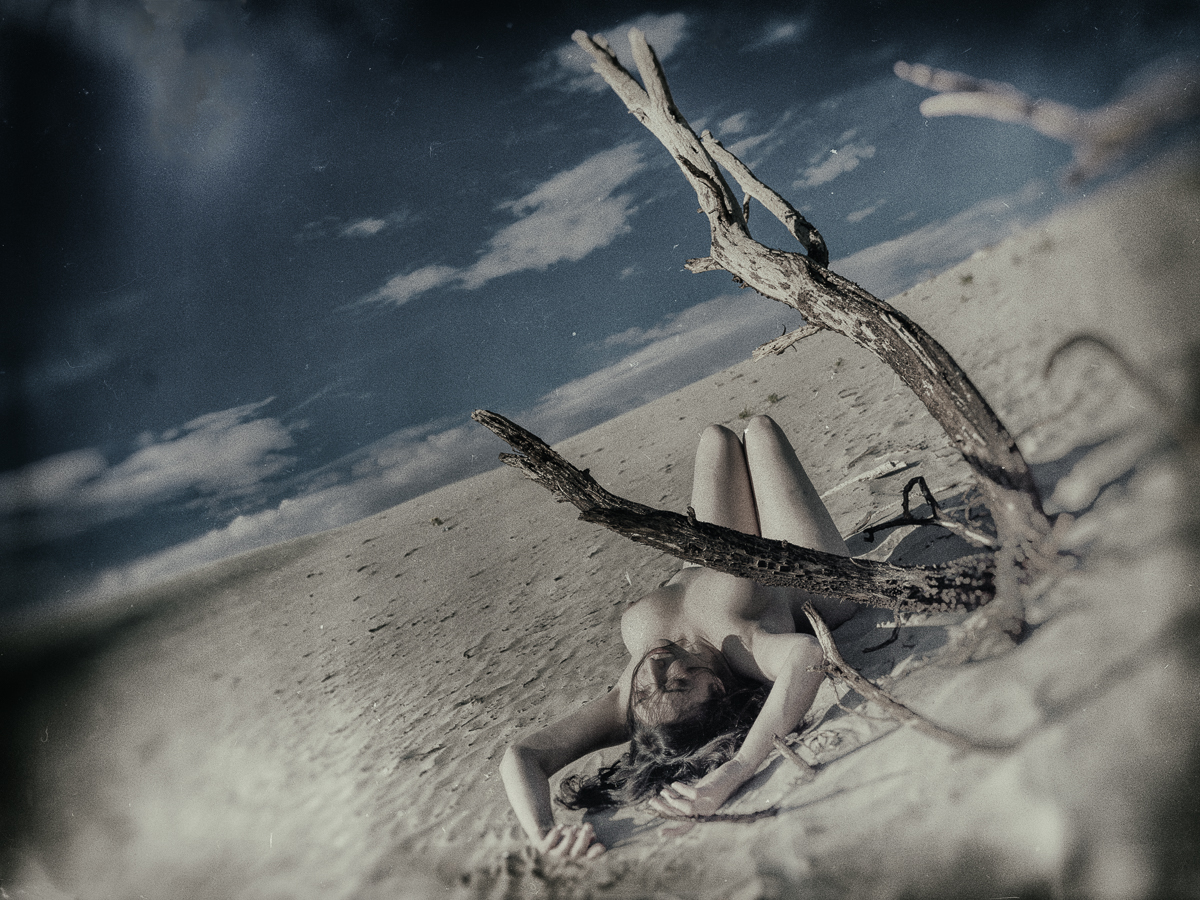 Mirage: Visions From A Desert