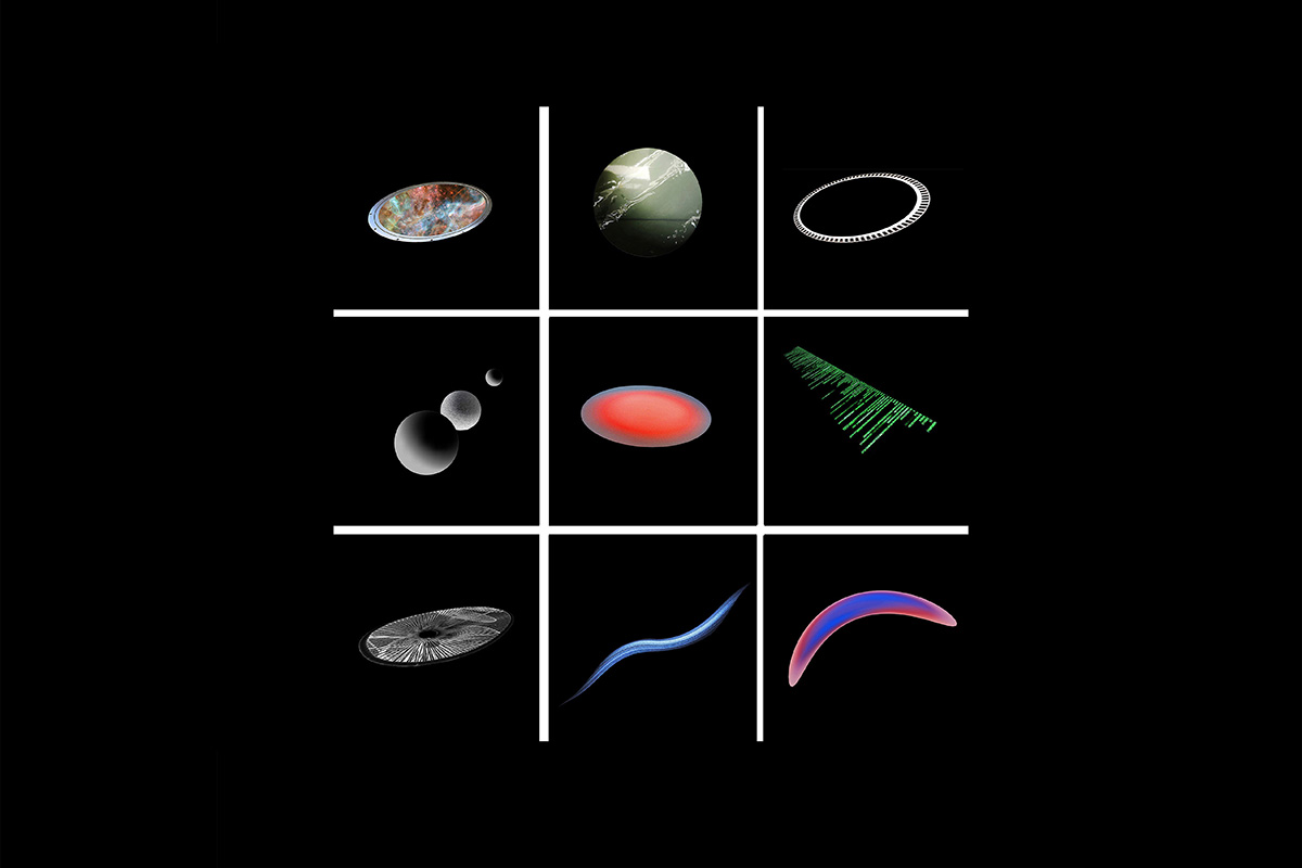 cosmos evolution