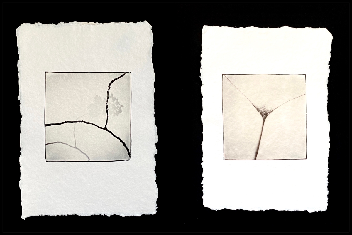 Polaroid diptychs (I)