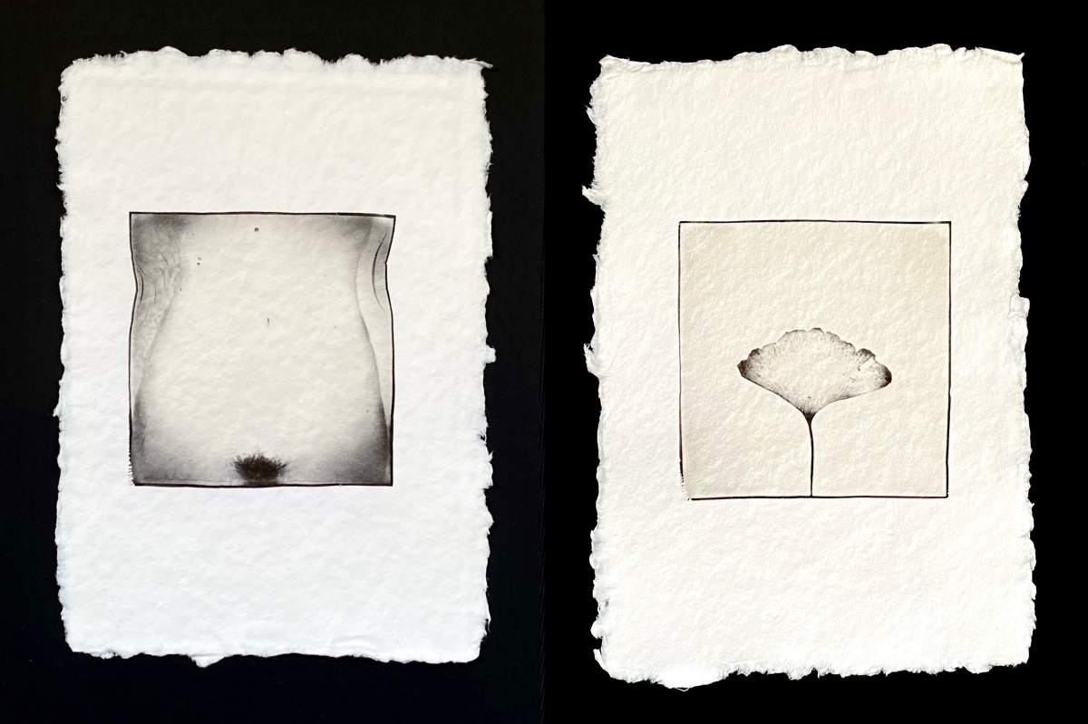 Polaroid diptychs (I)