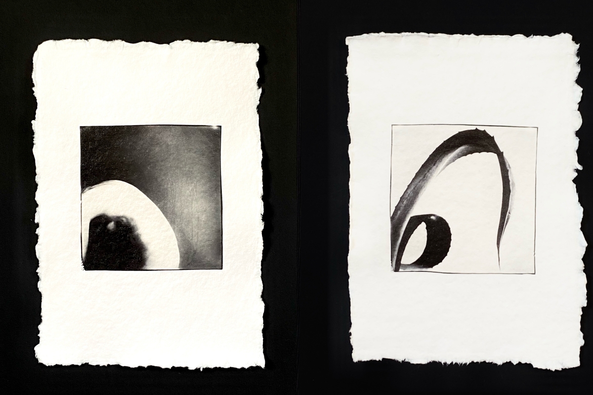 Polaroid diptychs (I)