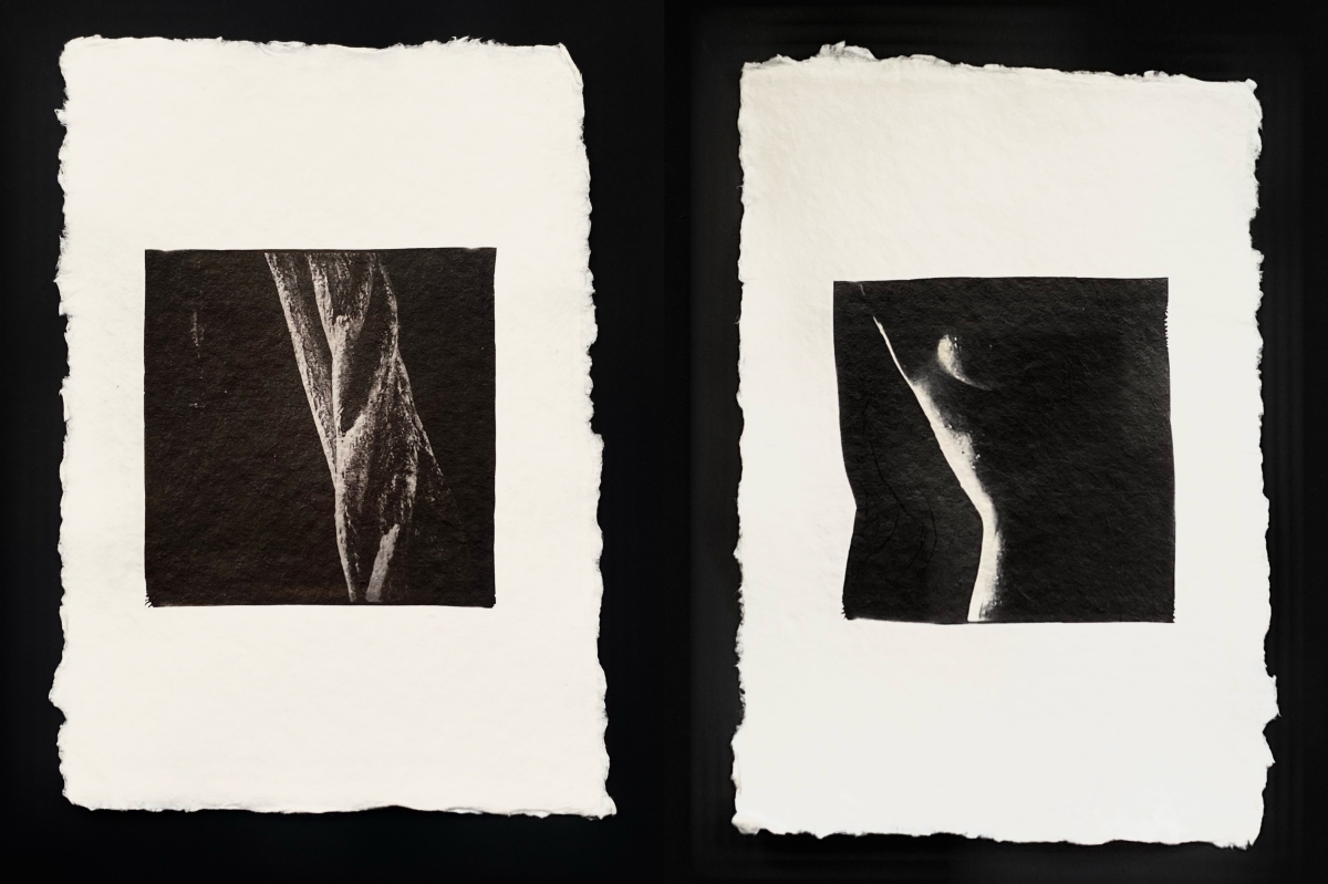 Polaroid diptychs (I)