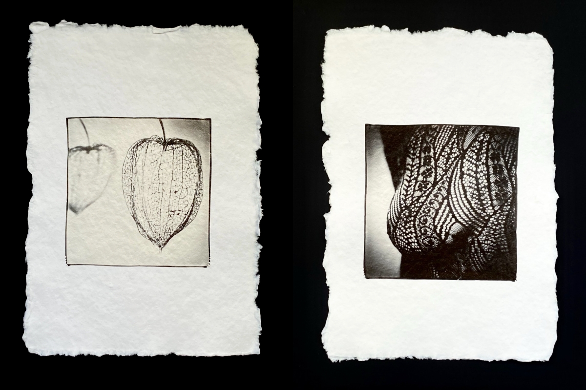 Polaroid diptychs (II)