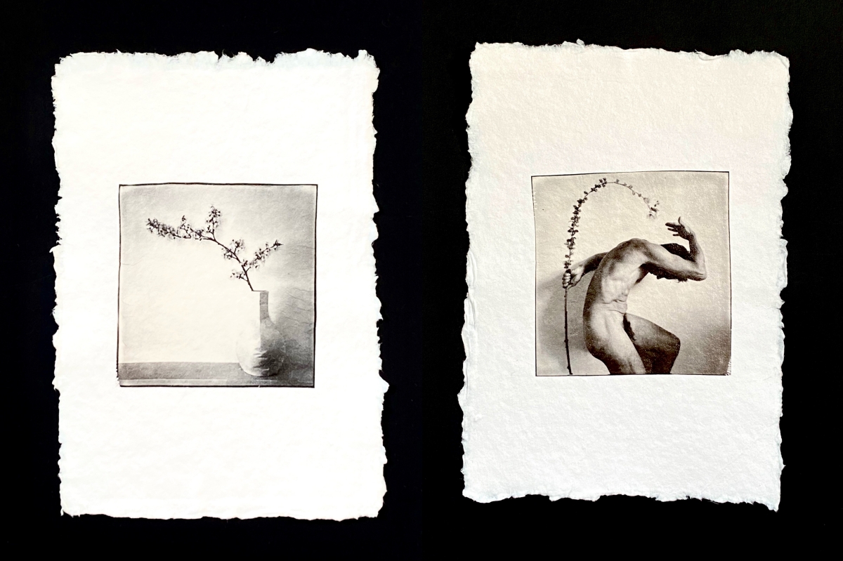 Polaroid diptychs (II)