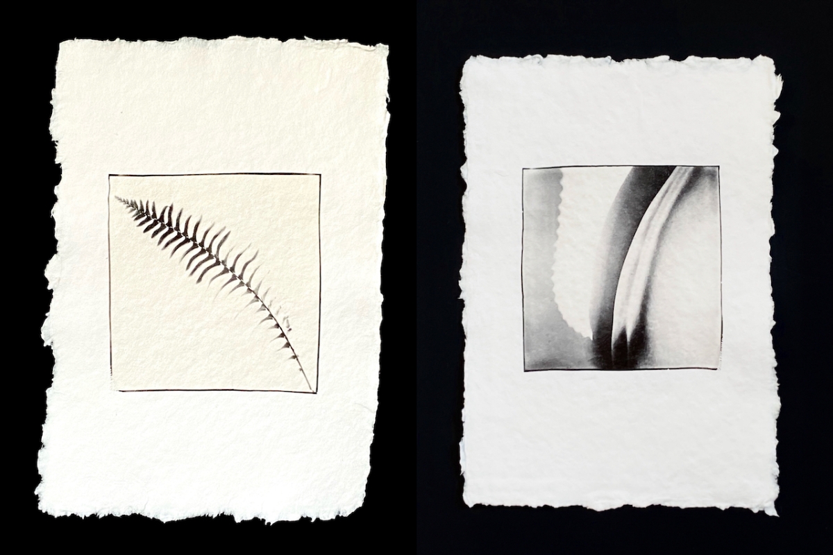 Polaroid diptychs (II)