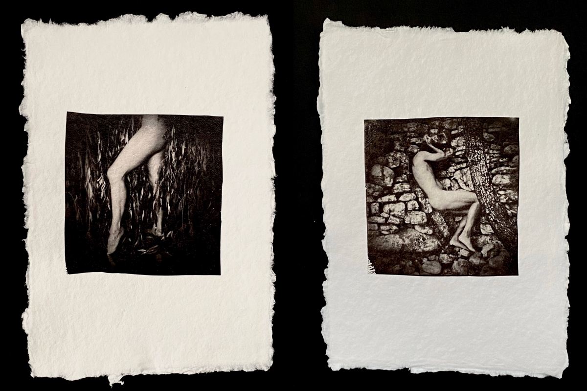 Polaroid diptychs (II)