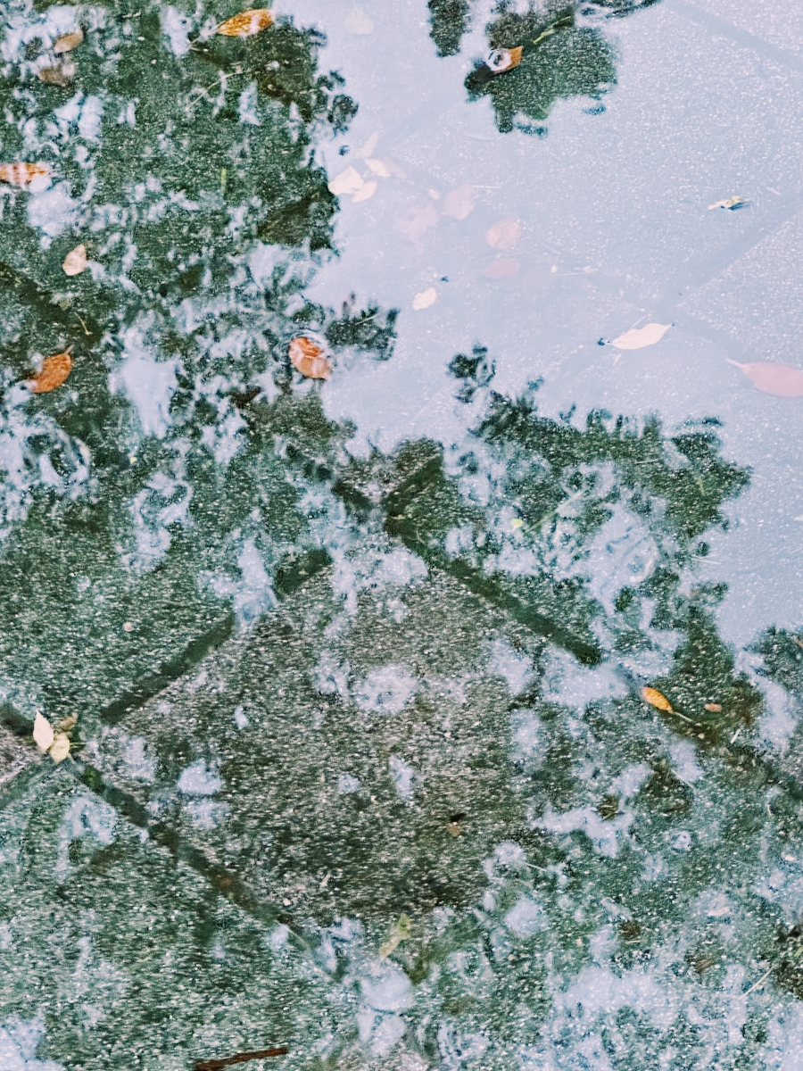 A Grammar of Rain in Taipei