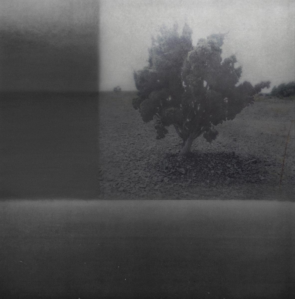 A Quiet Distance