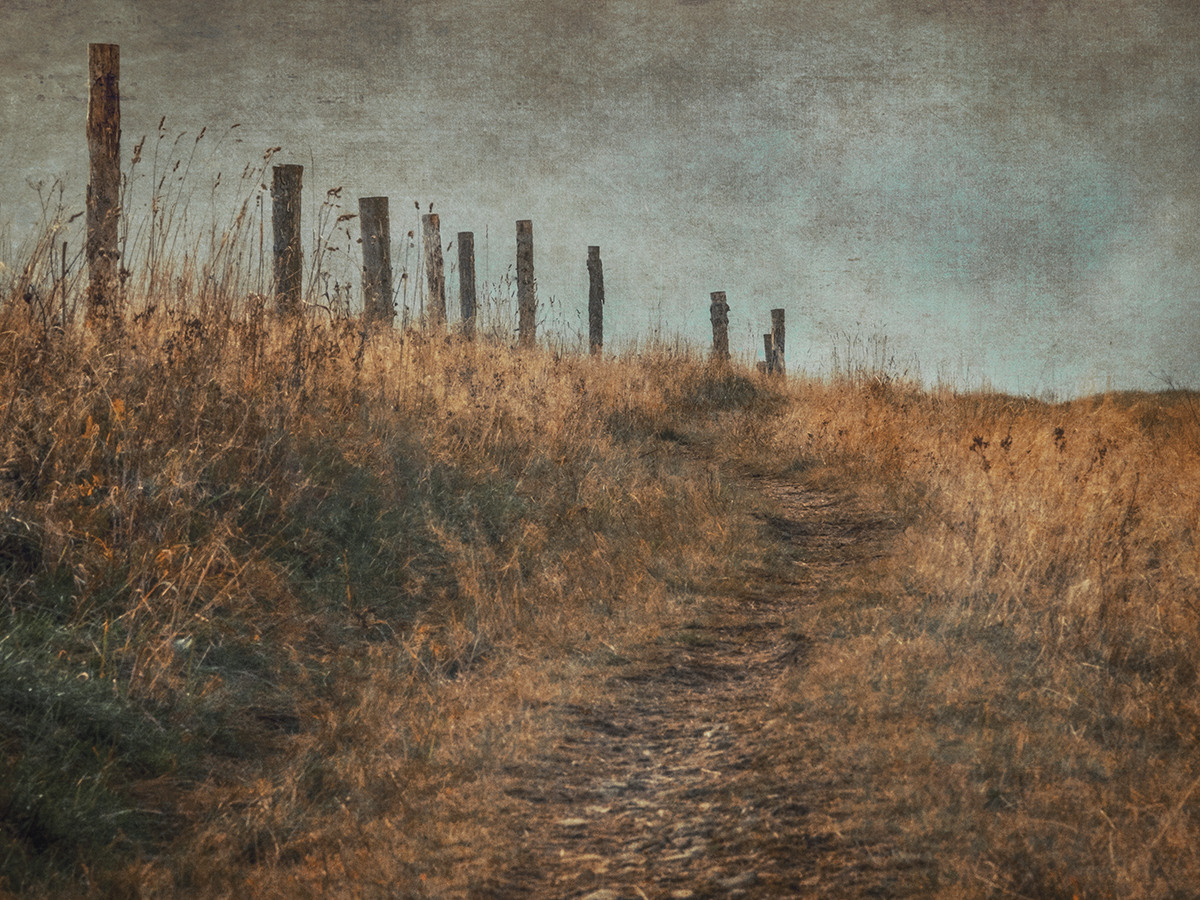 Walking through the grass...