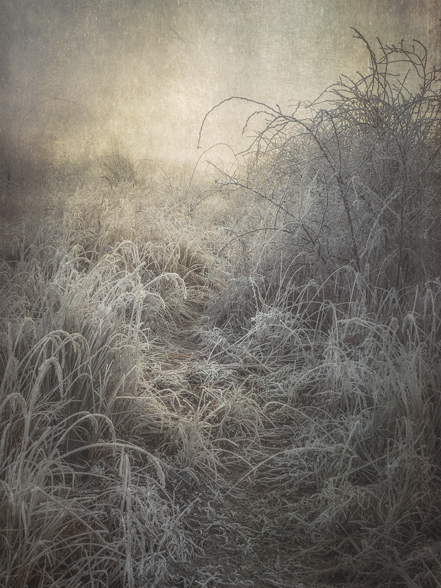 Walking through the grass...