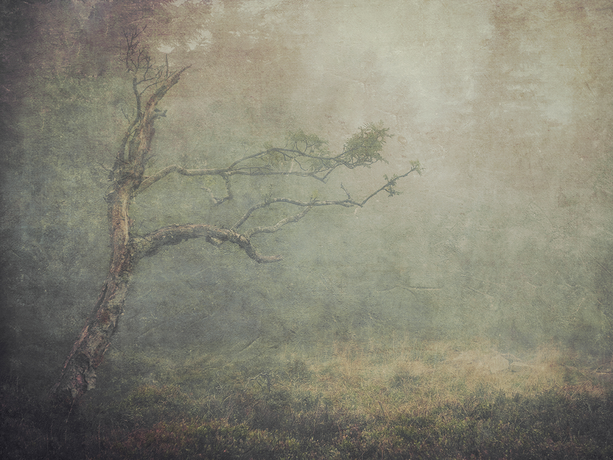 Walking through the grass...