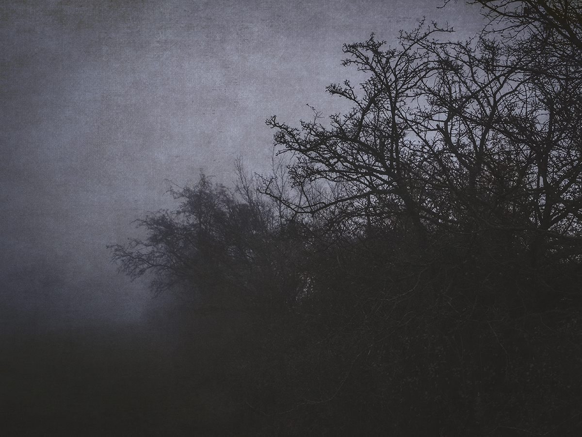 Walking through the grass...