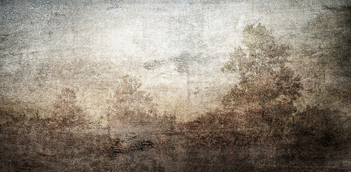 Veil-The Forest Within-
