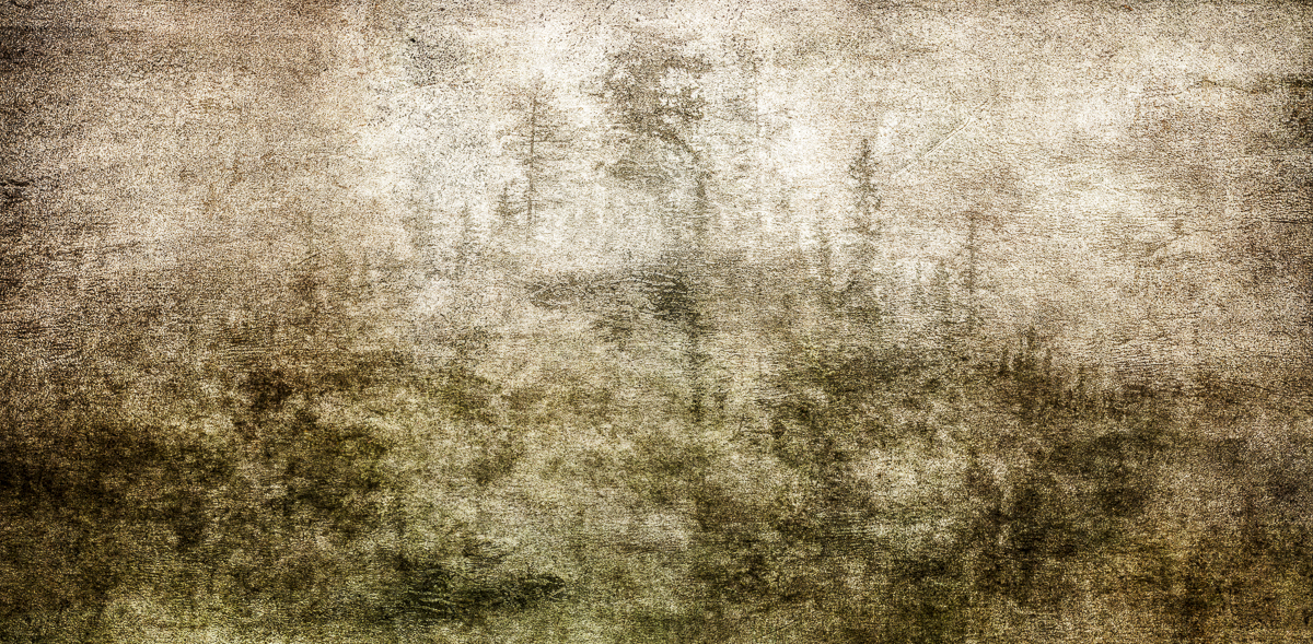 Veil-The Forest Within-