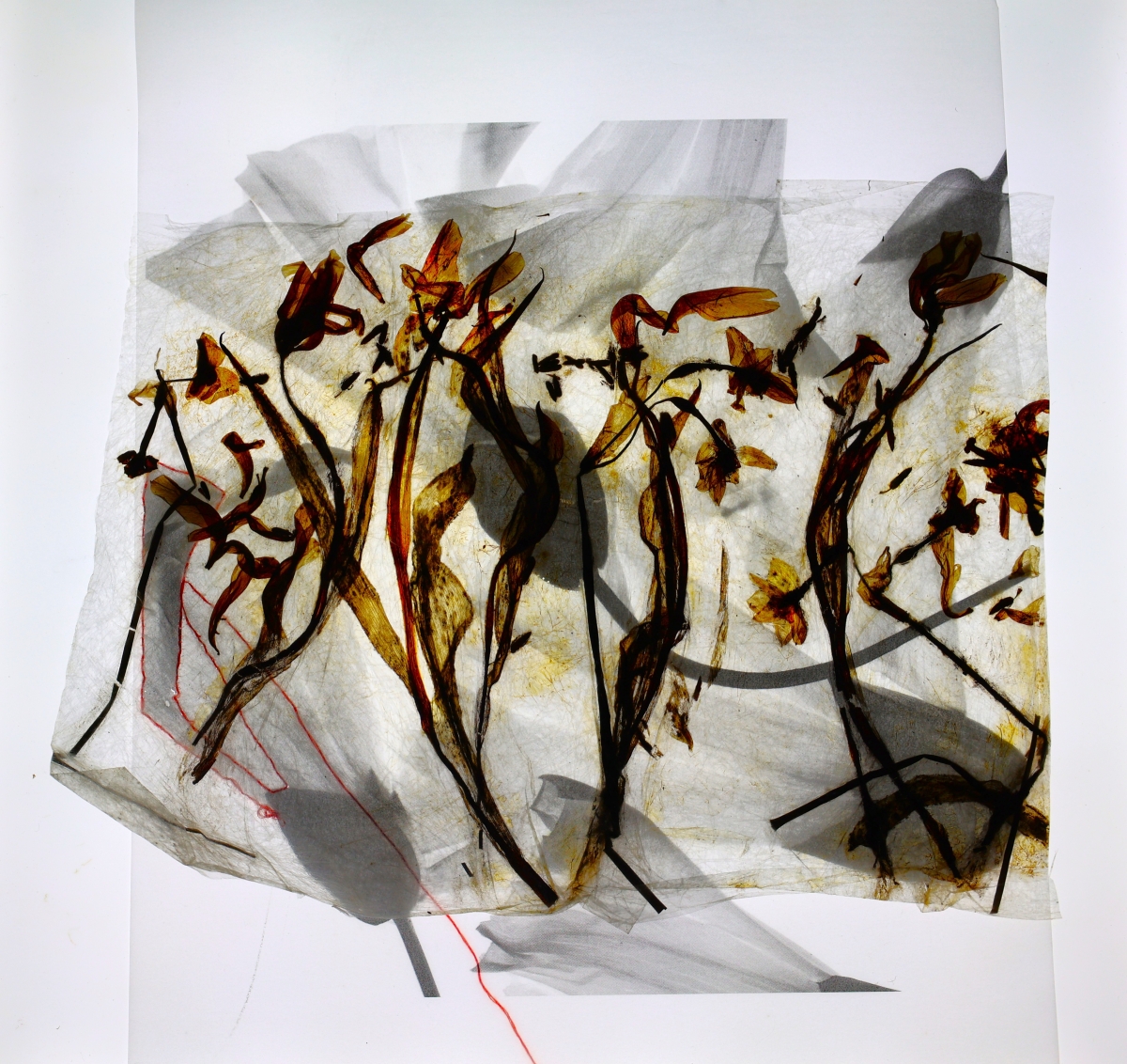 From Soil to Synapse