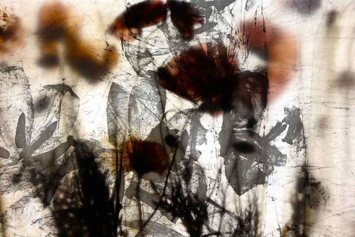 From Soil to Synapse