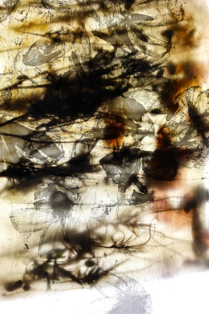 From Soil to Synapse
