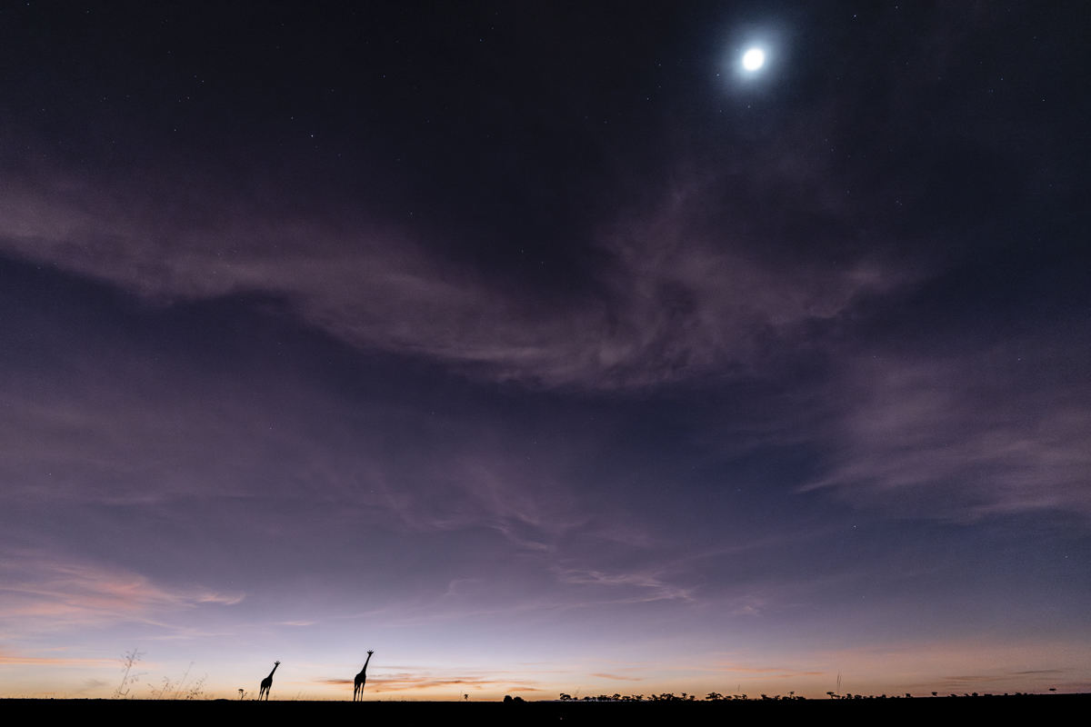 Tall in a wide sky