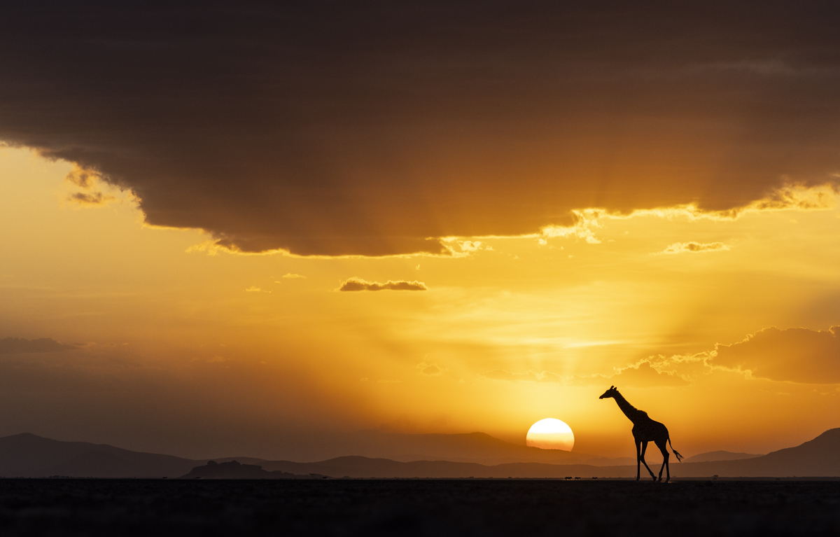 Tall in a wide sky