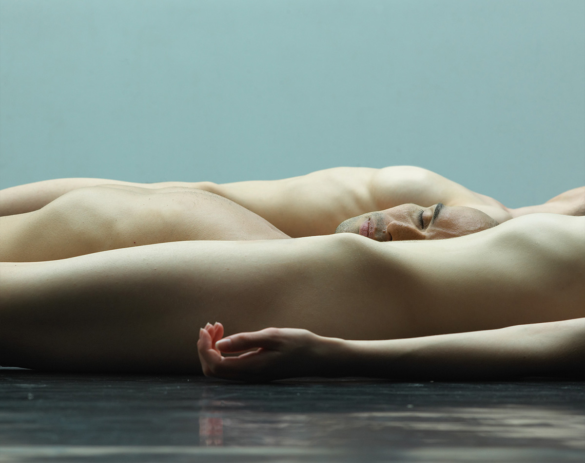 Anatomies