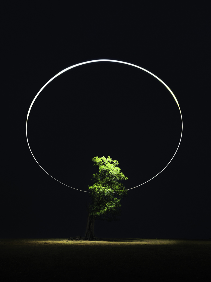 Half Tree Halo
