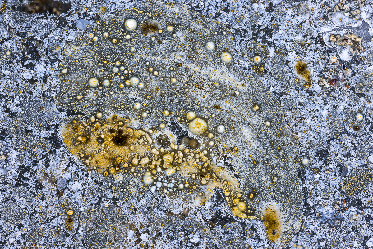 Bacterial landscapes