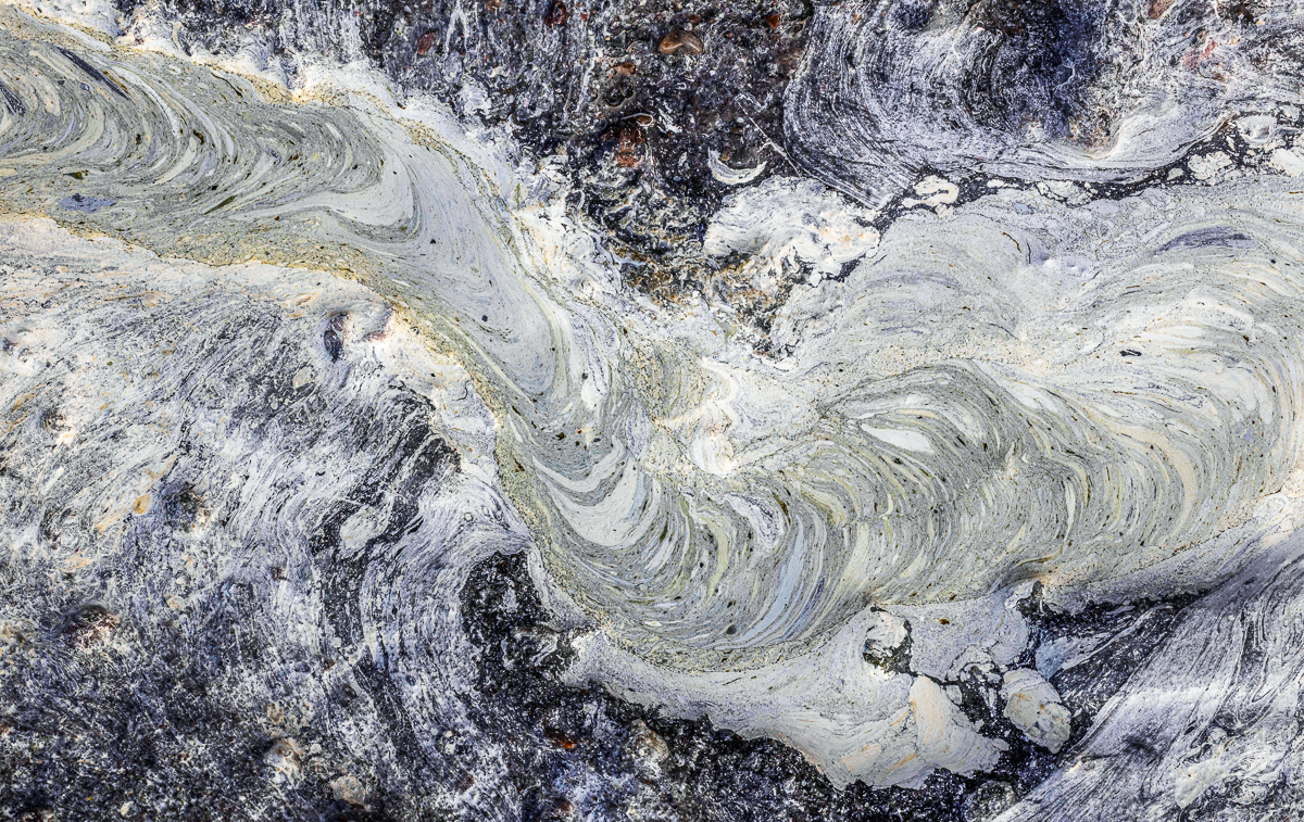 Bacterial landscapes